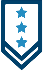 Military badge icon